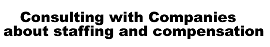 Professional compensation consulting services for large corporations or small business.  